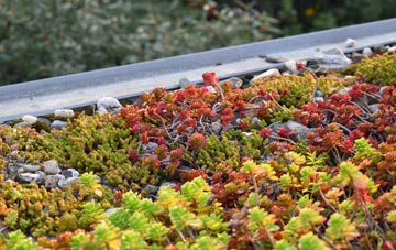 the cost of Nesscliffe green roof installation