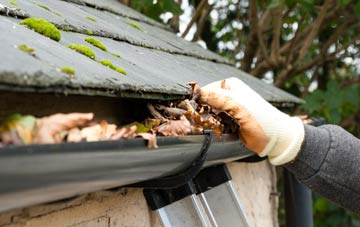 gutter cleaning Nesscliffe, Shropshire