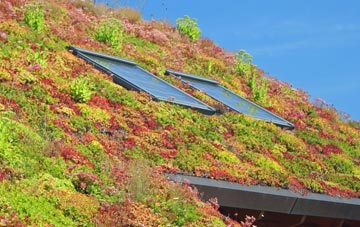 Nesscliffe living roof systems
