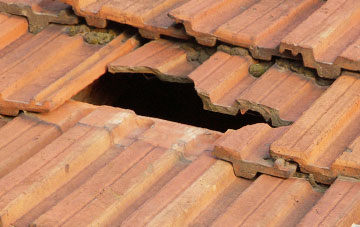 roof repair Nesscliffe, Shropshire